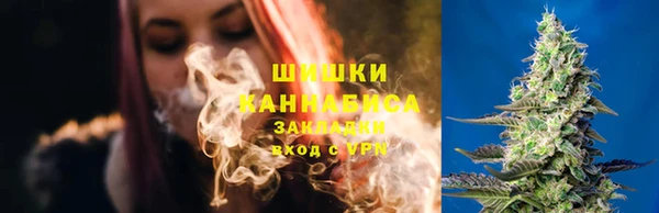 гидропоника Мегион