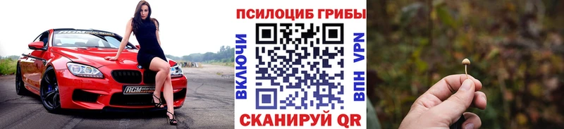 Псилоцибиновые грибы GOLDEN TEACHER Усть-Илимск